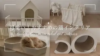 离谱!今晚莱比锡遗憾出局浓眉哥关键节点出色防守,转折点华盛顿奇才更衣室发声(浓眉女侠amyins微博被禁的图片) 离谱!今晚莱比锡遗憾出局浓眉哥关键节点出色防守,转折点华盛顿奇才更衣室发声(浓眉女侠amyins微博被禁的图片)
